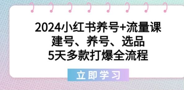 2024 小红书从注册养号到流量获取课，多款打爆详解 182.58MB