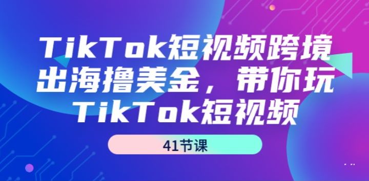 TikTok 跨境短视频发布作品带货全流程课，助你海外撸美金 545.95MB