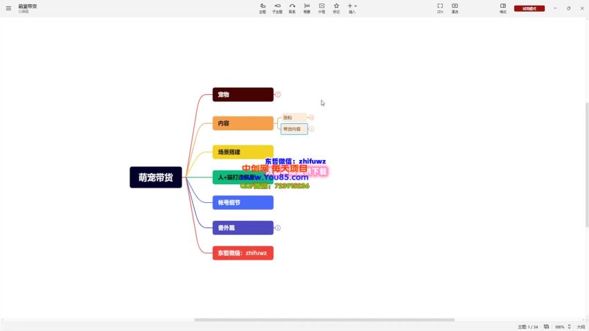 萌宠短视频做实拍带货，实拍才能跑通各类目的关键 375.82MB