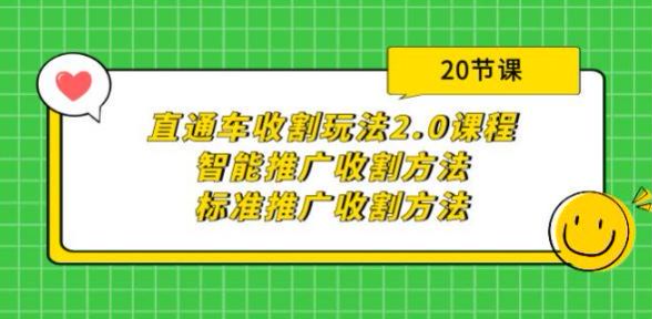 直通车智能推广收割 2.0 课程，引力魔方万象台的玩法等 665.43MB