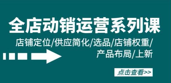 全店运营动销线上课，全店动销定价逻辑、单品布局操作等 123.47MB