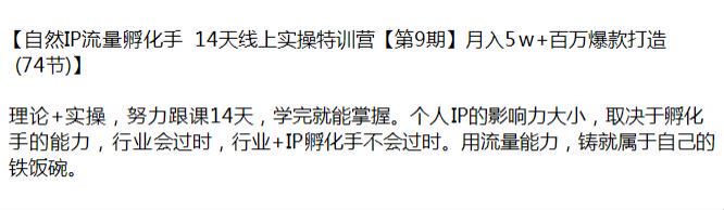 自然 IP 流量理论 + 实操课程第 9 期，用流量能力铸就铁饭碗 11.77GB