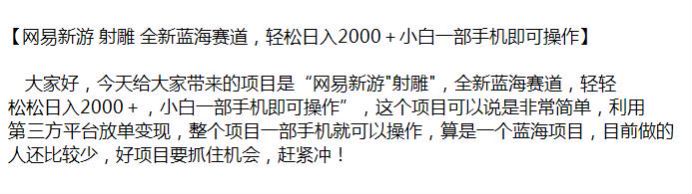 网 Y 新游射雕利用第三方平台放单变现，目前做的人少 252.69MB