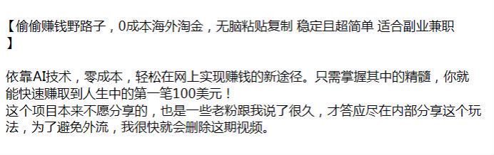 靠 AI 技术海外淘金技术，掌握其中精髓助你快速赚到美金 79.03MB