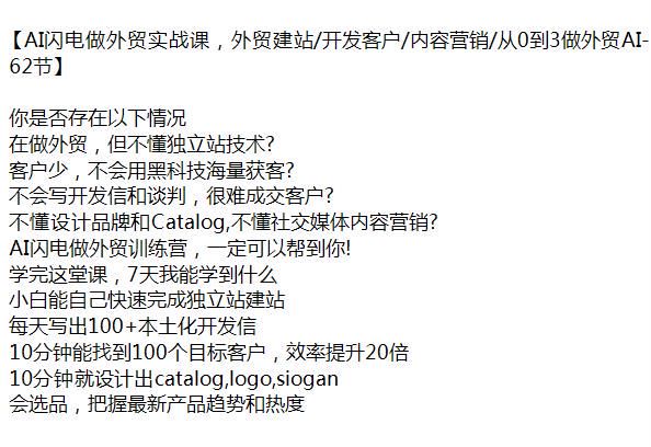 AI 闪电做外贸训练营，学会独立站建站、找目标客户等 2.67GB