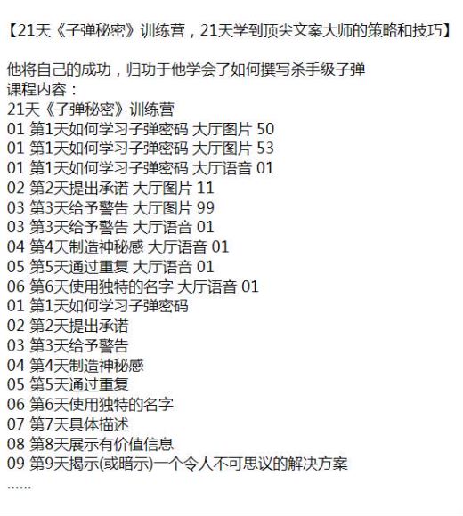 21 天《子弹秘密》文案大师的策略和技巧，学会如何撰写杀手级文案 3.79MB