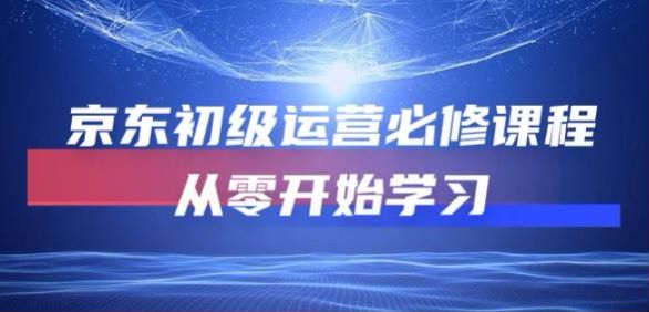 零基础学京东初级运营课程，教你玩转京东运营的各种技巧 13.75GB