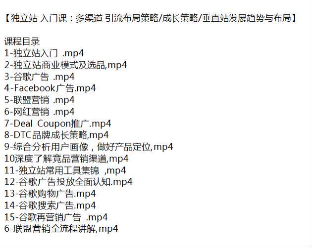 独立站引流布局发展入门课，广告投放、联盟营销等 725.31MB