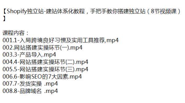 Shopify 搭建独立站实操课程，入局跨境学会 SEO 发货实操等 1.24GB