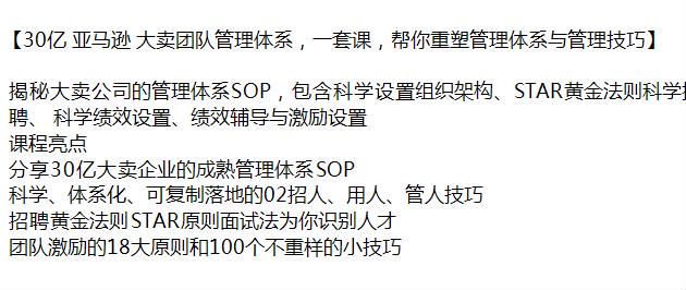 亚 Ma 逊大卖团队管理技巧系统课，揭秘大卖公司的管理体系 SOP457.69MB