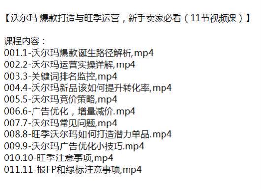 沃尔玛运营实操爆款打造课程，竞价策略广告优化提升转化率等 524.47MB