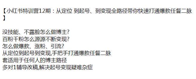 小红书从定位起号到变现课程 12 期，教你做爆款、涨粉、引流变现等 13.41GB