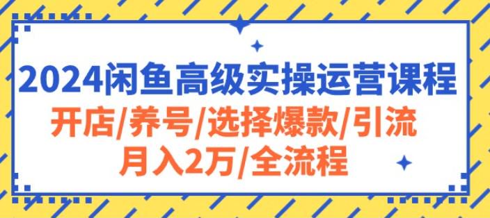 2024 闲鱼养号开店引流运营课程，避免违规、提升权重、选择爆款等 310.89MB