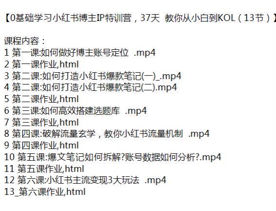 小红书博主 IP 从小到 KOL 培训课，教你做个博主 2.10GB