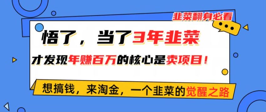 24 年知识付费项目，引流创业粉卖项目收割 1006.82MB