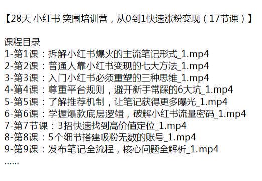 小红书 0 到 1 快速涨粉变现 28 天课程，拆解主流笔记变现的七大方法等 816.79MB