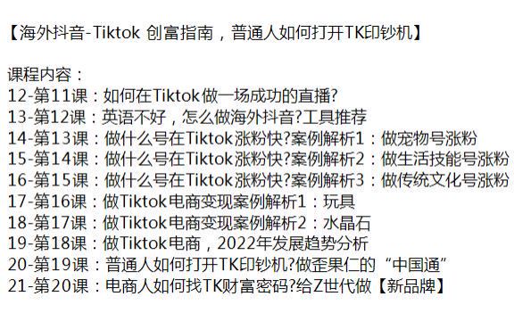 海外抖音 Tiktok 财富密码课，英语不也能玩转 Tiktok53.56MB