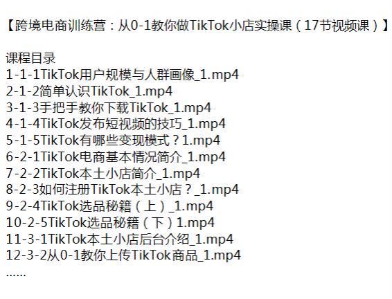 跨境电商 TikTok 小店实操课，选品秘籍、变现模式、短视频技巧等 266.10MB