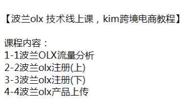 波兰 olx 技术 kim 跨境电商教程，OLX 从注册到流量分析 57.17MB