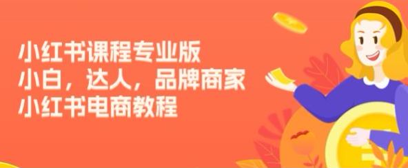 小红书电商教程专业版，养号、搜索运营、店铺管理等 541.70MB