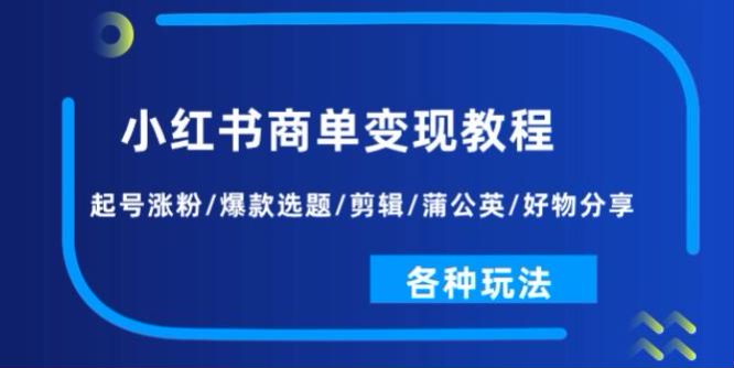 小红书商单从起号到各种玩法变现课，教你视频制作、涨粉、物分享等技巧 893.70MB