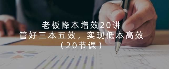 企业老板实现降本增效课程，学习企业如何持续长的技巧 3.28GB