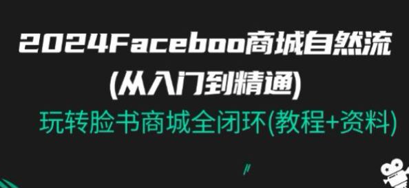 2024 年 Fb 脸书商城自然流教程，选品测品、精细养号等内容 193.79MB