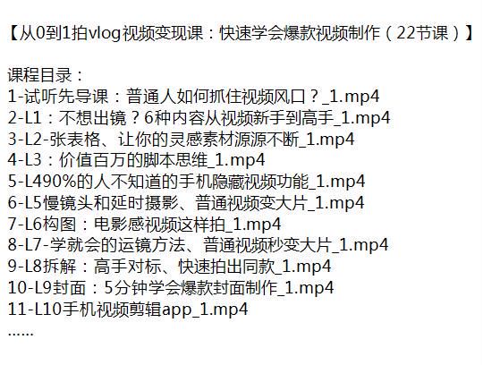 快速学会拍 vlog 视频变现课，教你从视频新手到高手 434.65MB