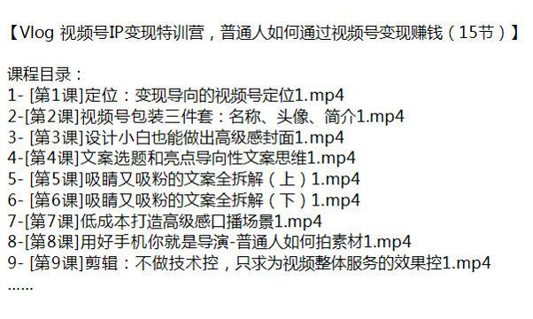 普通人通过 Vlog 视频号 IP 变现课程，视频号定位、文案拆解、私域运营等 780.46MB