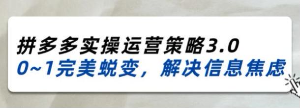 2024 拼多多运营策略 3.0 课程，运营逻辑、避坑指南、付费推广等 1.14GB