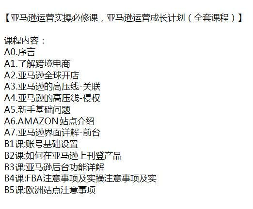 亚 Ma 逊运营从基础到功能详解，选品、侵权规避、打造完美 Listing 等 6.99GB