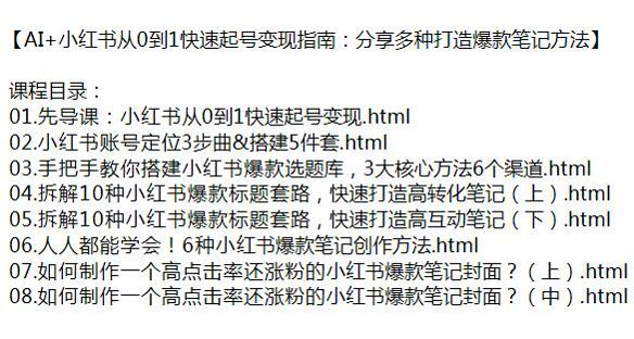 小红书利用 AI 快速起号变现课程，爆款笔记创作爆款标题套路等技巧 107.51KB