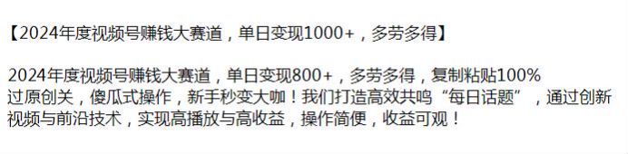 2024 年视频号通过创新视频实现高播放与高收益 1.49GB