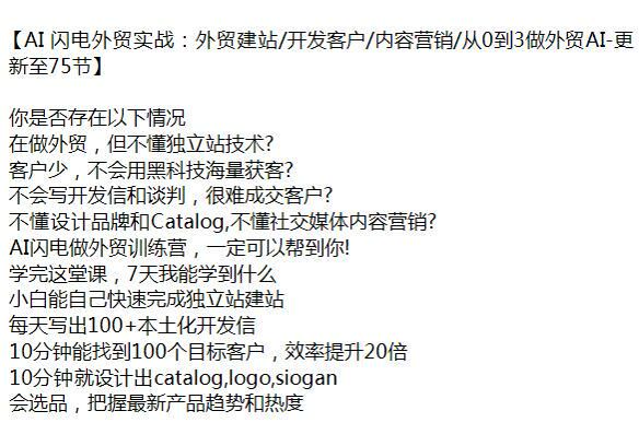 AI 闪电外贸训练营 - 助你快速完成独立站建站，把握产品趋势和热度 5.90GB