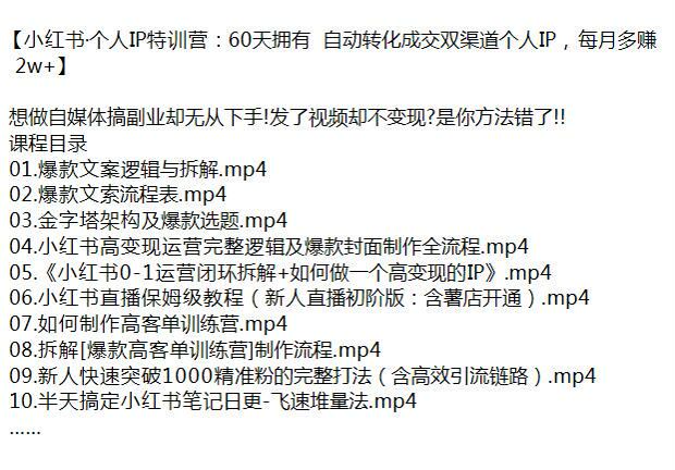 小红书高变现个人 IP 打造课，0- 1 运营闭环高客单训练营等 2.23GB