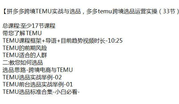 拼多多跨境电商 TEMU 选品运营实战课，带您了解 TEMU 风险等 1.13GB