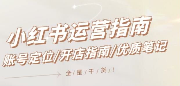 小红书从账号定位到开店运营课，防作弊、混合定位、笔记分数解析等 88.29KB