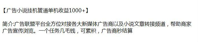 广告联盟平台挂机项目，内含收费内容请避坑（站长注）299.24MB