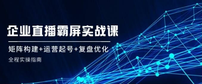 企业直播矩阵运营霸屏课程，底层逻辑、运营复盘、矩阵裂变等 655.14MB