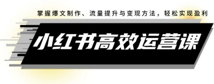 小红书从爆文制作到流量提升运营课，教你如何防止降权、如何破层级等 575.34MB