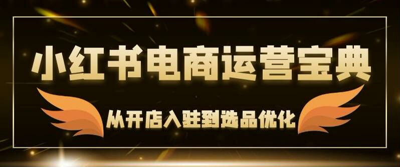 小红书电商从开店到选品运营课，教你正确快速出单 2.64GB