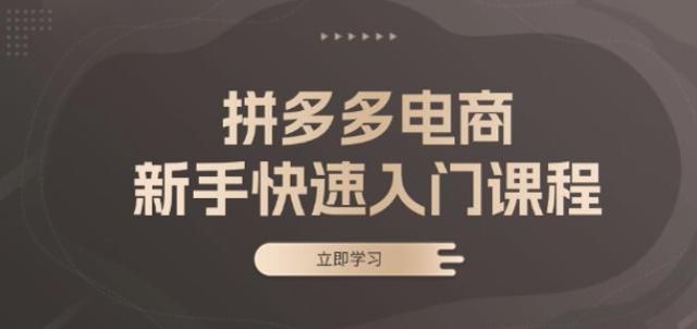 拼多多电商从基础到出单课，包括上架商品、营销工具使用等 830.16MB