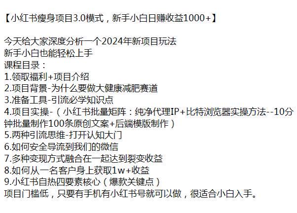 小红书瘦身 2024 年玩法，打开认知学习引流思维到私域 1.41GB