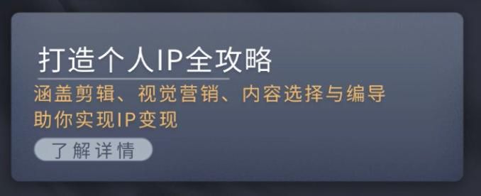 个人 IP 从入行到视觉营销课，教你 IP 账号的引流与变现等内容 5.22GB